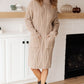 Bundled Beauty Turtleneck Sweater Dress