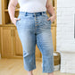 Mandy High Rise Vintage Wide Leg Crop Jeans (1/25)